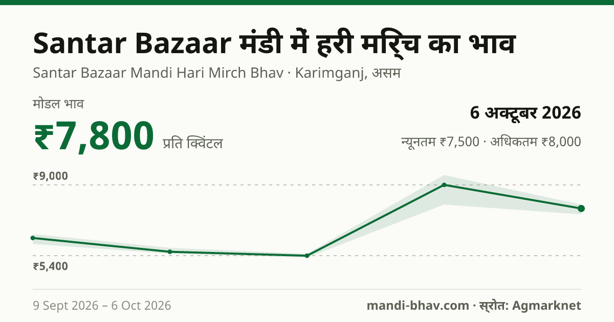 Santar Bazaar मंडी में हरी मिर्च का भाव 6 अक्टूबर 2026: मोडल ₹7,800 प्रति क्विंटल, भाव के रुझान का चार्ट