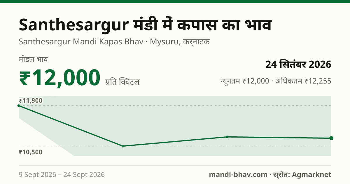 Santhesargur मंडी में कपास का भाव 24 सितंबर 2026: मोडल ₹12,000 प्रति क्विंटल, भाव के रुझान का चार्ट