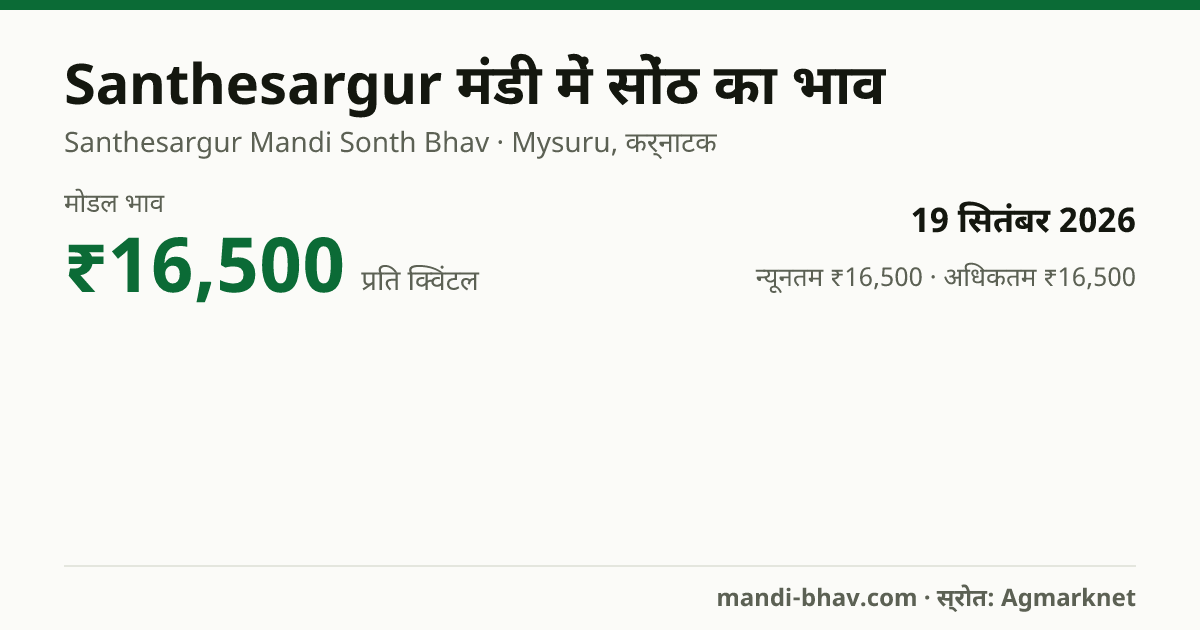 Santhesargur मंडी में सोंठ का भाव 19 सितंबर 2026: मोडल ₹16,500 प्रति क्विंटल, भाव के रुझान का चार्ट
