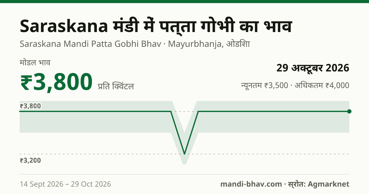 Saraskana मंडी में पत्ता गोभी का भाव 29 अक्टूबर 2026: मोडल ₹3,800 प्रति क्विंटल, भाव के रुझान का चार्ट