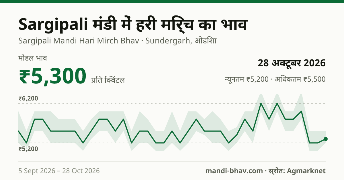 Sargipali मंडी में हरी मिर्च का भाव 28 अक्टूबर 2026: मोडल ₹5,300 प्रति क्विंटल, भाव के रुझान का चार्ट