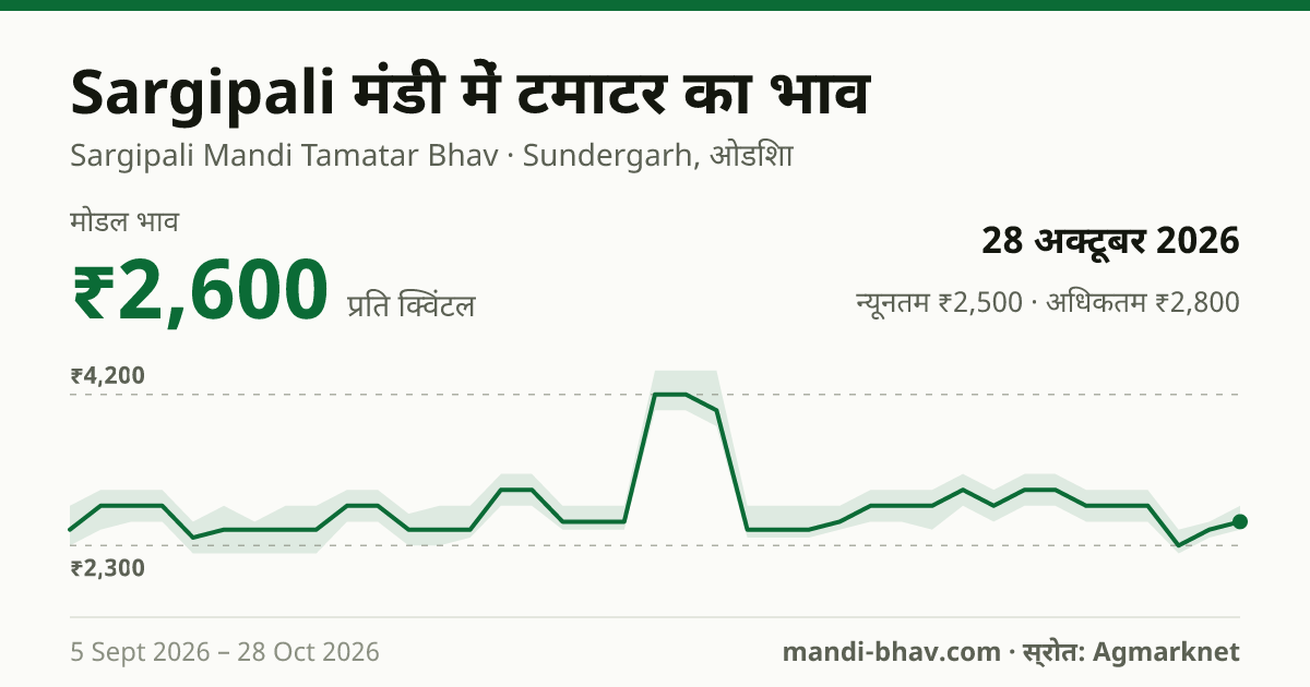 Sargipali मंडी में टमाटर का भाव 28 अक्टूबर 2026: मोडल ₹2,600 प्रति क्विंटल, भाव के रुझान का चार्ट