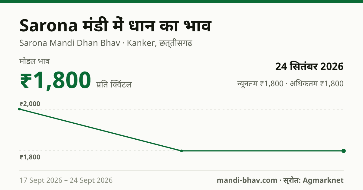 Sarona मंडी में धान का भाव 24 सितंबर 2026: मोडल ₹1,800 प्रति क्विंटल, भाव के रुझान का चार्ट