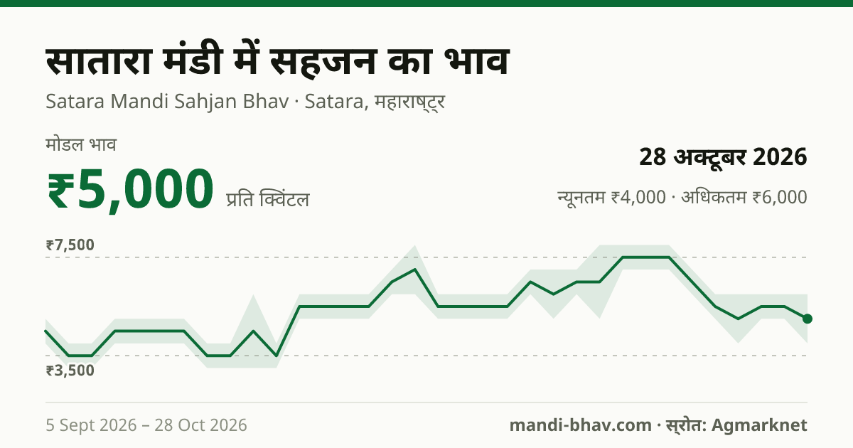 सातारा मंडी में सहजन का भाव 28 अक्टूबर 2026: मोडल ₹5,000 प्रति क्विंटल, भाव के रुझान का चार्ट