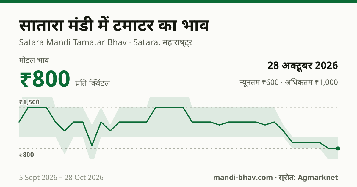 सातारा मंडी में टमाटर का भाव 28 अक्टूबर 2026: मोडल ₹800 प्रति क्विंटल, भाव के रुझान का चार्ट