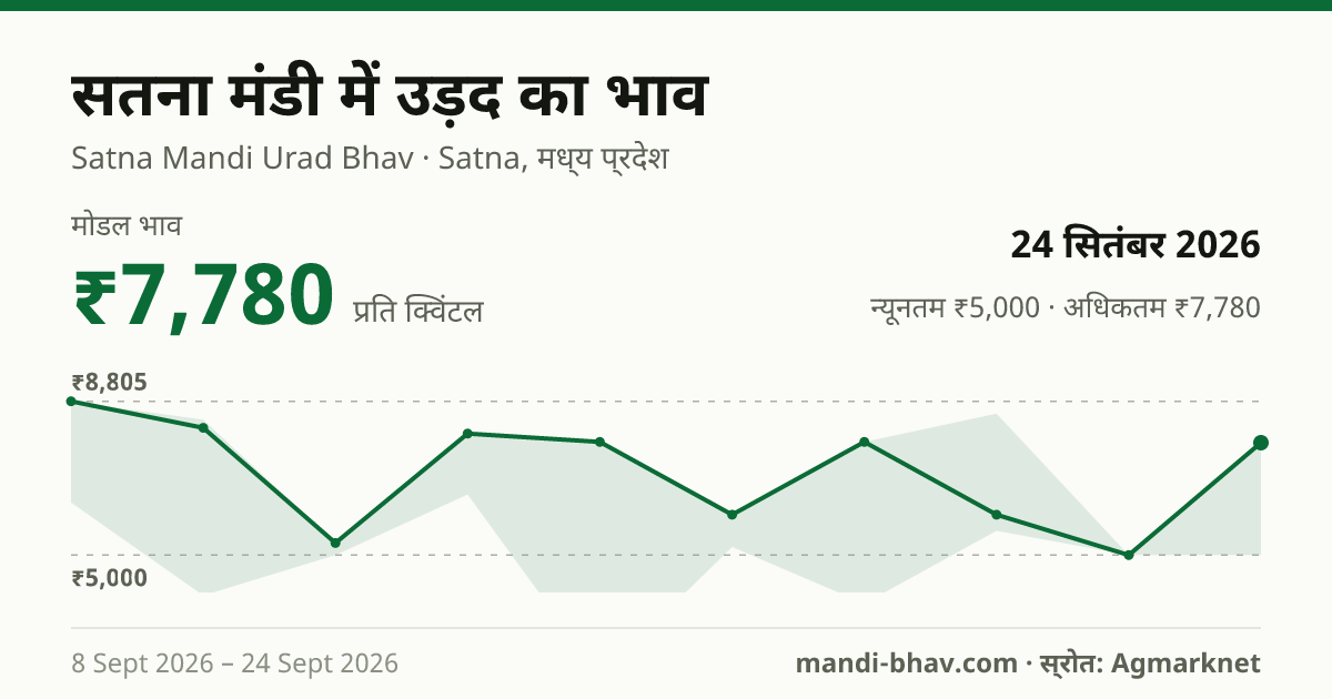सतना मंडी में उड़द का भाव 24 सितंबर 2026: मोडल ₹7,780 प्रति क्विंटल, भाव के रुझान का चार्ट