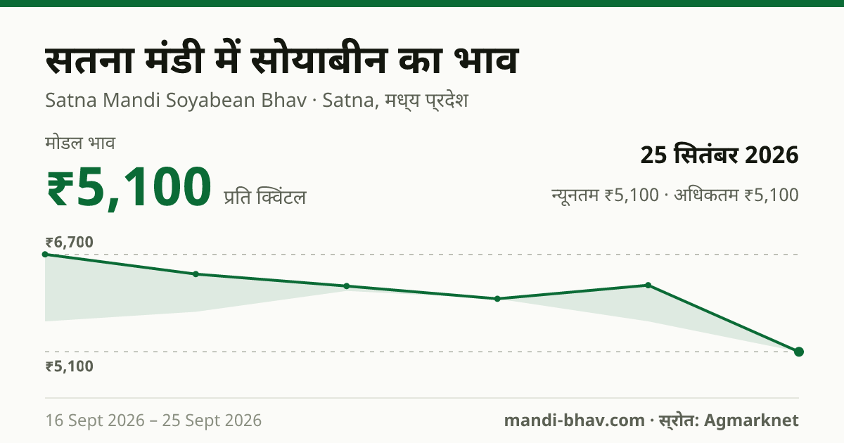 सतना मंडी में सोयाबीन का भाव 25 सितंबर 2026: मोडल ₹5,100 प्रति क्विंटल, भाव के रुझान का चार्ट
