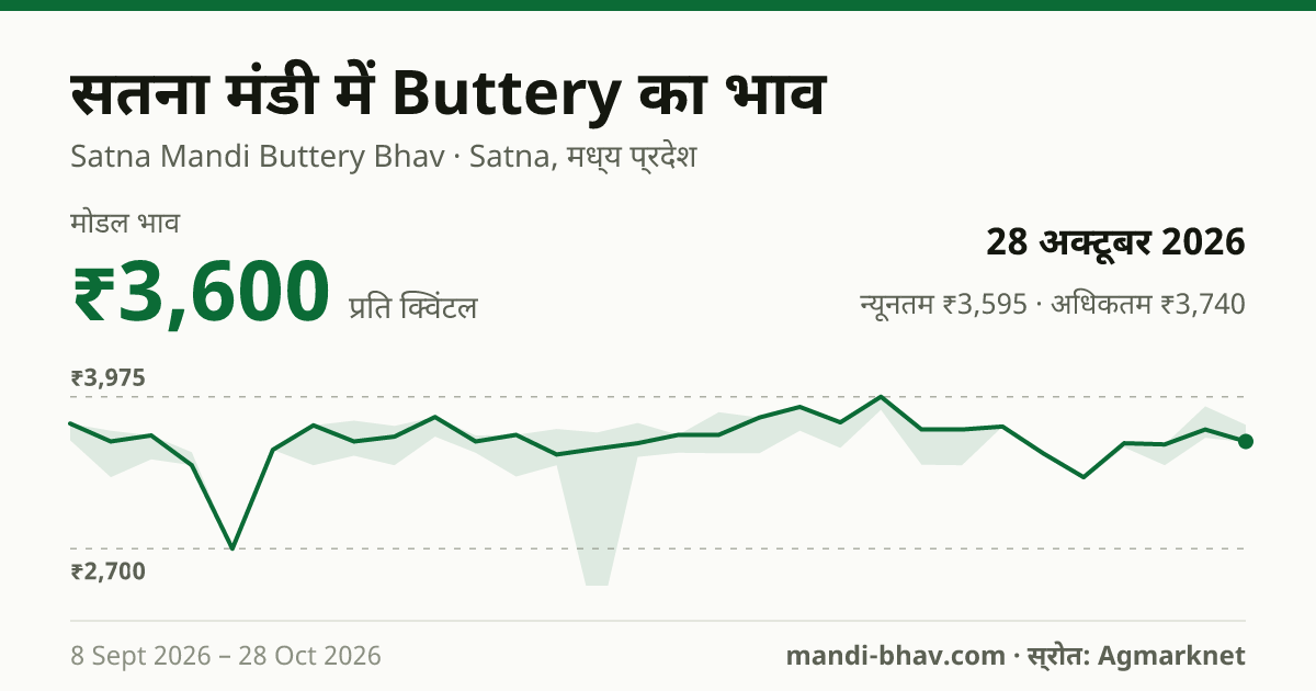 सतना मंडी में Buttery का भाव 28 अक्टूबर 2026: मोडल ₹3,600 प्रति क्विंटल, भाव के रुझान का चार्ट