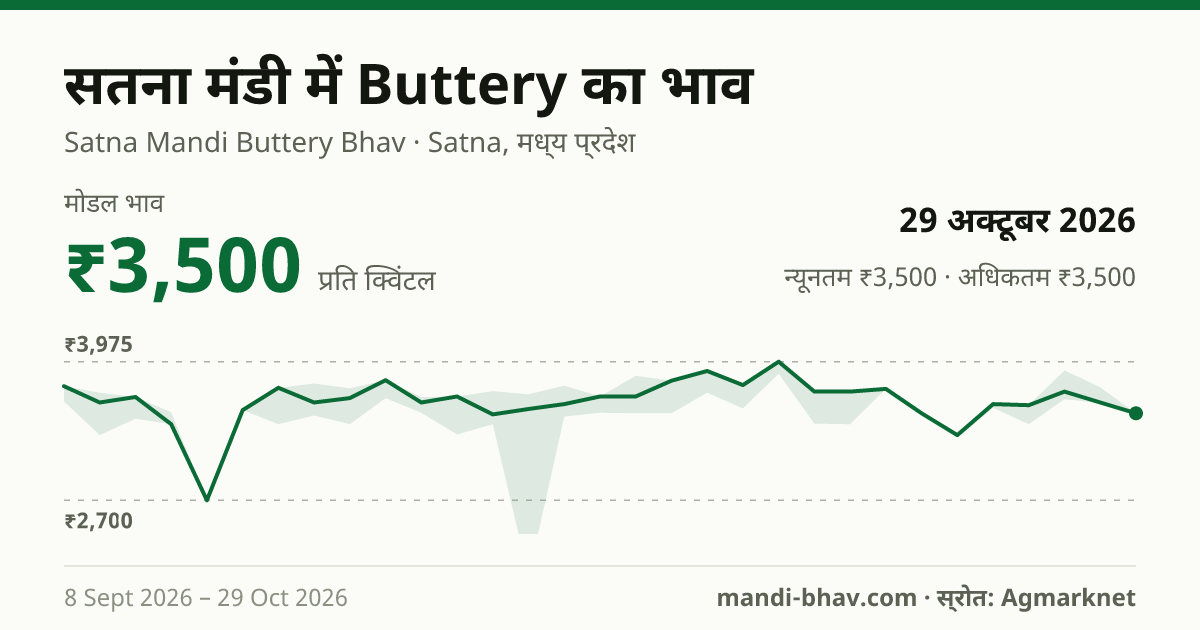 सतना मंडी में Buttery का भाव 29 अक्टूबर 2026: मोडल ₹3,500 प्रति क्विंटल, भाव के रुझान का चार्ट