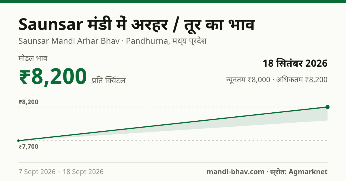 Saunsar मंडी में अरहर / तूर का भाव 18 सितंबर 2026: मोडल ₹8,200 प्रति क्विंटल, भाव के रुझान का चार्ट