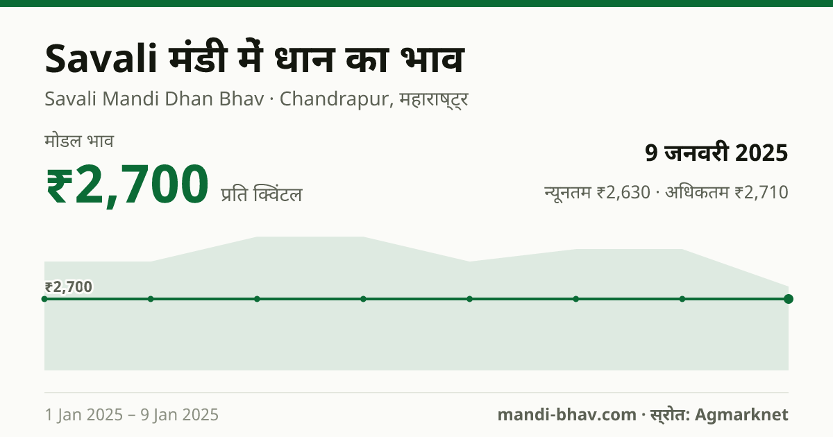Savali मंडी में धान का भाव 9 जनवरी 2025: मोडल ₹2,700 प्रति क्विंटल, भाव के रुझान का चार्ट