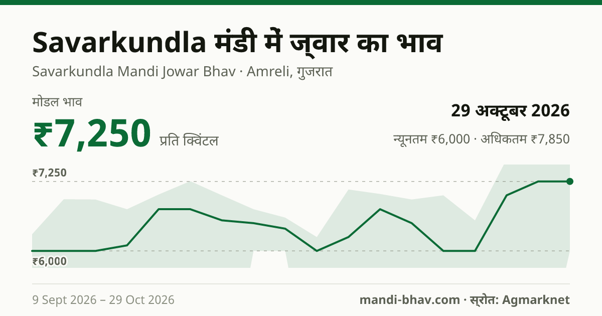 Savarkundla मंडी में ज्वार का भाव 29 अक्टूबर 2026: मोडल ₹7,250 प्रति क्विंटल, भाव के रुझान का चार्ट