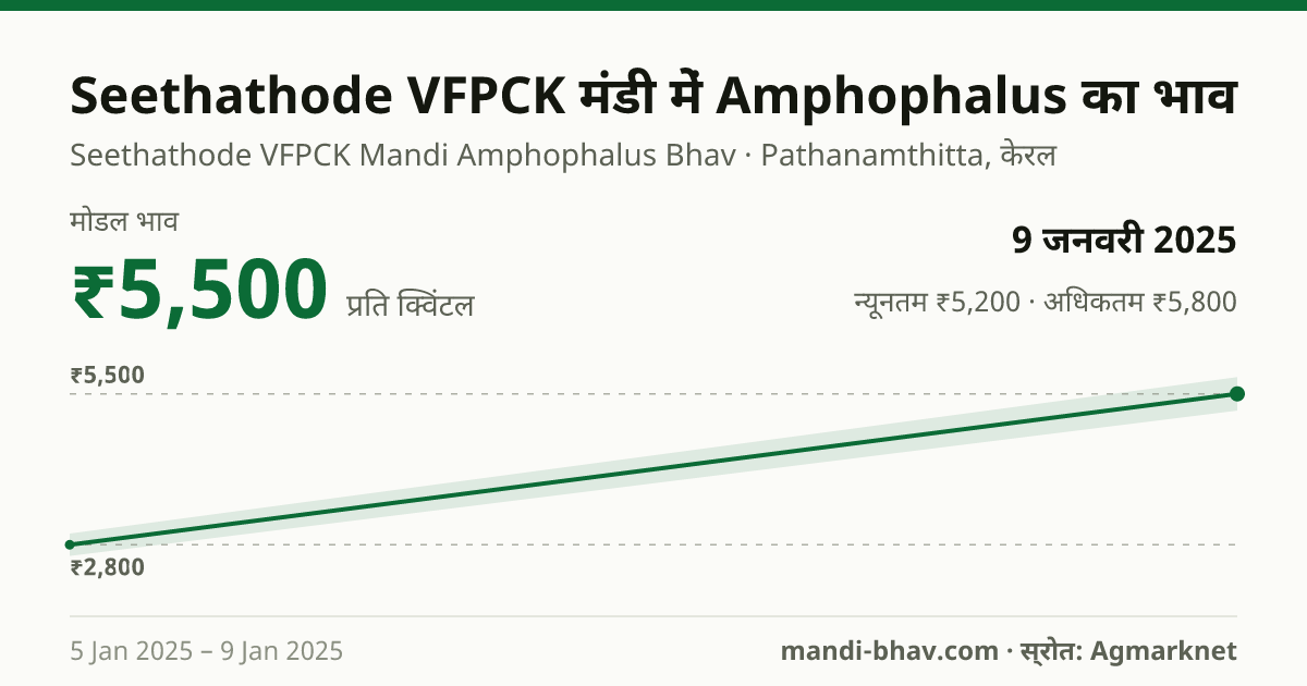 Seethathode VFPCK मंडी में Amphophalus का भाव 9 जनवरी 2025: मोडल ₹5,500 प्रति क्विंटल, भाव के रुझान का चार्ट