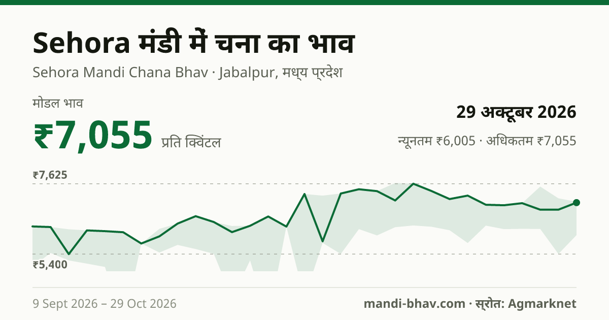 Sehora मंडी में चना का भाव 29 अक्टूबर 2026: मोडल ₹7,055 प्रति क्विंटल, भाव के रुझान का चार्ट