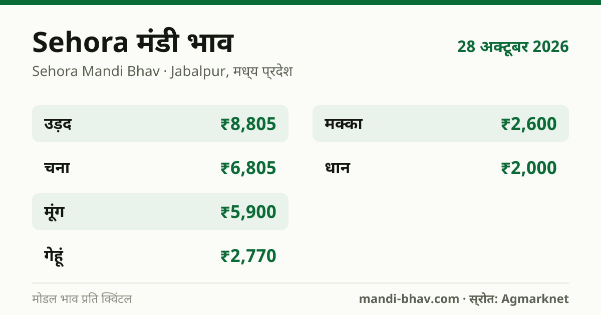 Sehora मंडी भाव 28 अक्टूबर 2026: फसलवार मोडल रेट प्रति क्विंटल