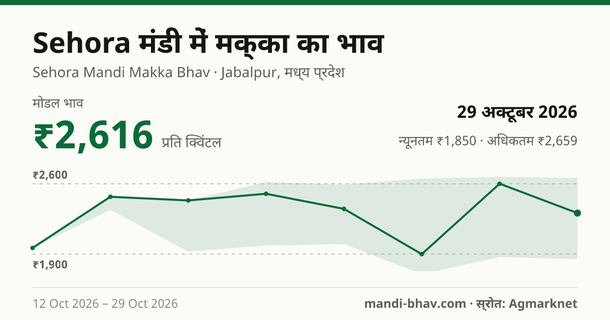 Sehora मंडी में मक्का का भाव 29 अक्टूबर 2026: मोडल ₹2,616 प्रति क्विंटल, भाव के रुझान का चार्ट