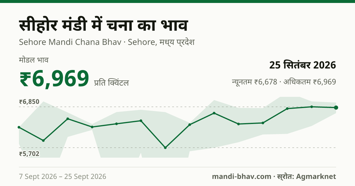 सीहोर मंडी में चना का भाव 25 सितंबर 2026: मोडल ₹6,969 प्रति क्विंटल, भाव के रुझान का चार्ट