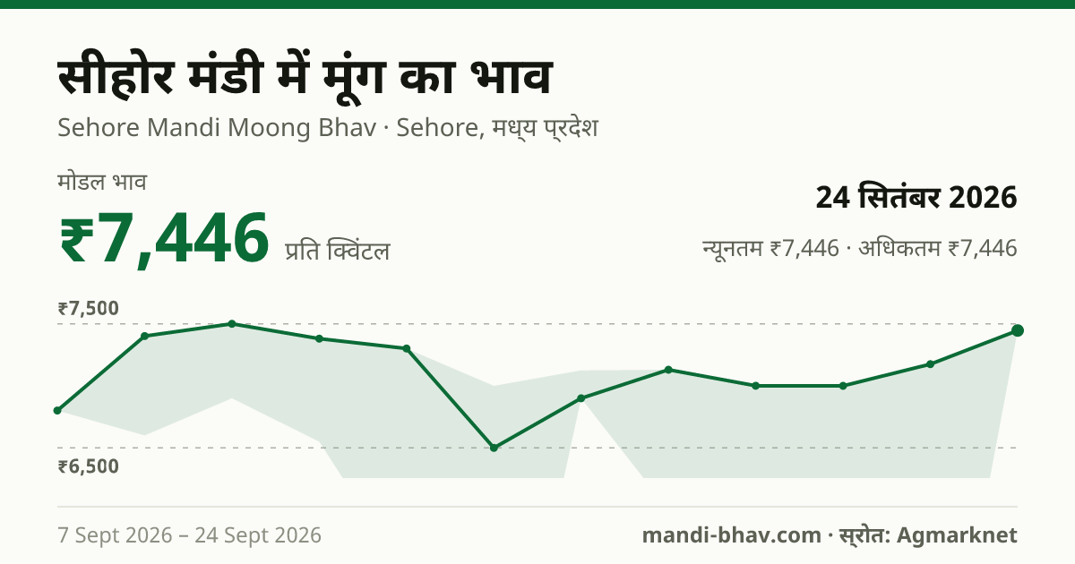 सीहोर मंडी में मूंग का भाव 24 सितंबर 2026: मोडल ₹7,446 प्रति क्विंटल, भाव के रुझान का चार्ट