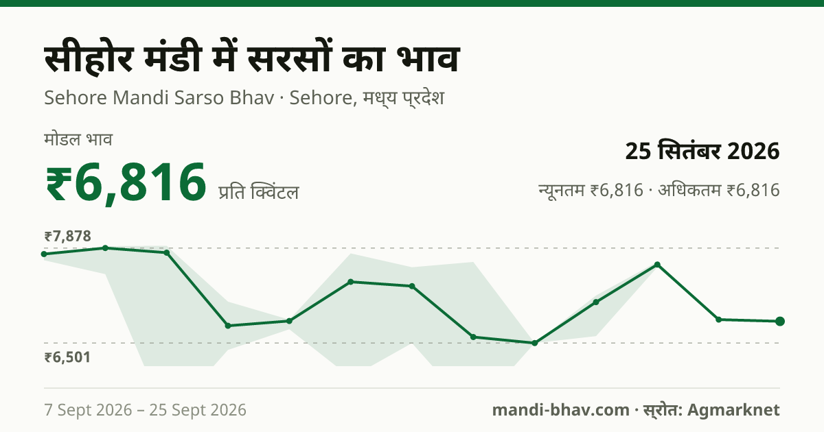सीहोर मंडी में सरसों का भाव 25 सितंबर 2026: मोडल ₹6,816 प्रति क्विंटल, भाव के रुझान का चार्ट