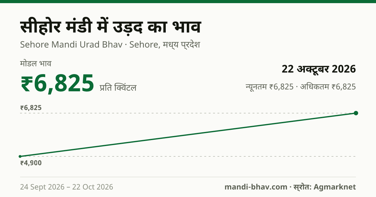 सीहोर मंडी में उड़द का भाव 22 अक्टूबर 2026: मोडल ₹6,825 प्रति क्विंटल, भाव के रुझान का चार्ट
