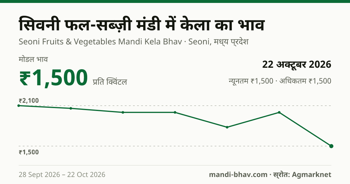 सिवनी फल-सब्ज़ी मंडी में केला का भाव 22 अक्टूबर 2026: मोडल ₹1,500 प्रति क्विंटल, भाव के रुझान का चार्ट