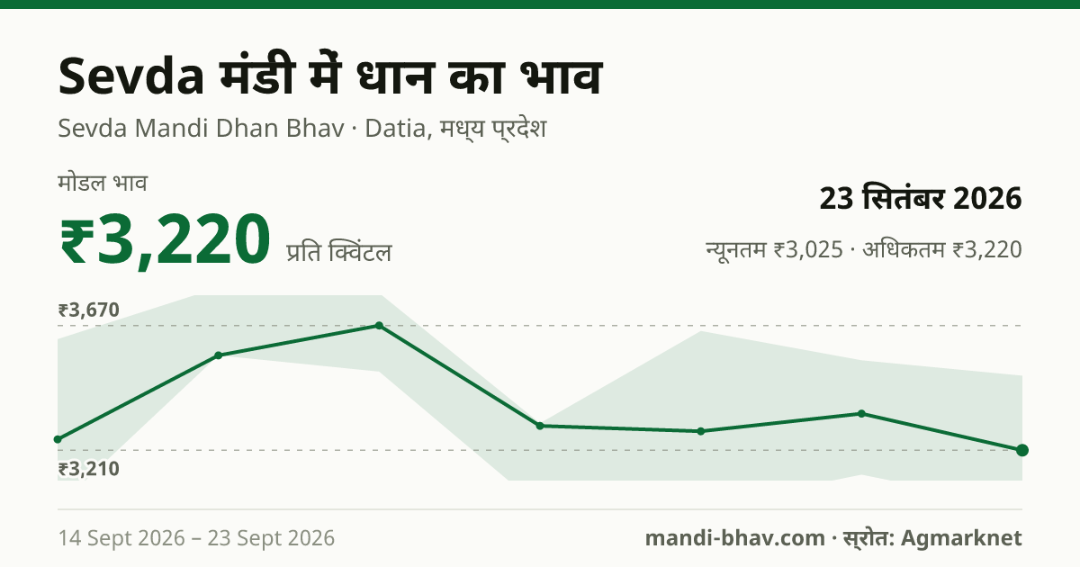 Sevda मंडी में धान का भाव 23 सितंबर 2026: मोडल ₹3,220 प्रति क्विंटल, भाव के रुझान का चार्ट