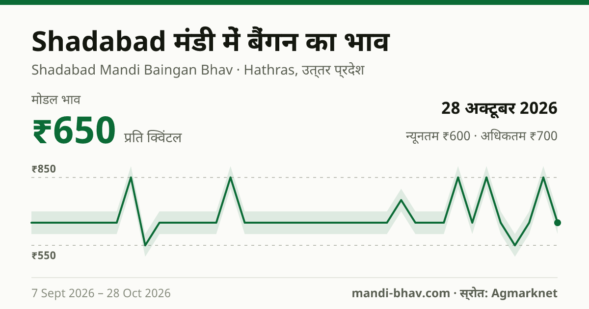 Shadabad मंडी में बैंगन का भाव 28 अक्टूबर 2026: मोडल ₹650 प्रति क्विंटल, भाव के रुझान का चार्ट