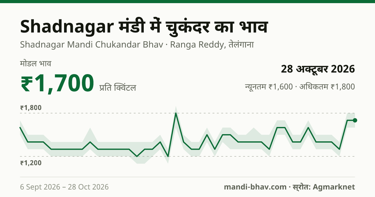 Shadnagar मंडी में चुकंदर का भाव 28 अक्टूबर 2026: मोडल ₹1,700 प्रति क्विंटल, भाव के रुझान का चार्ट
