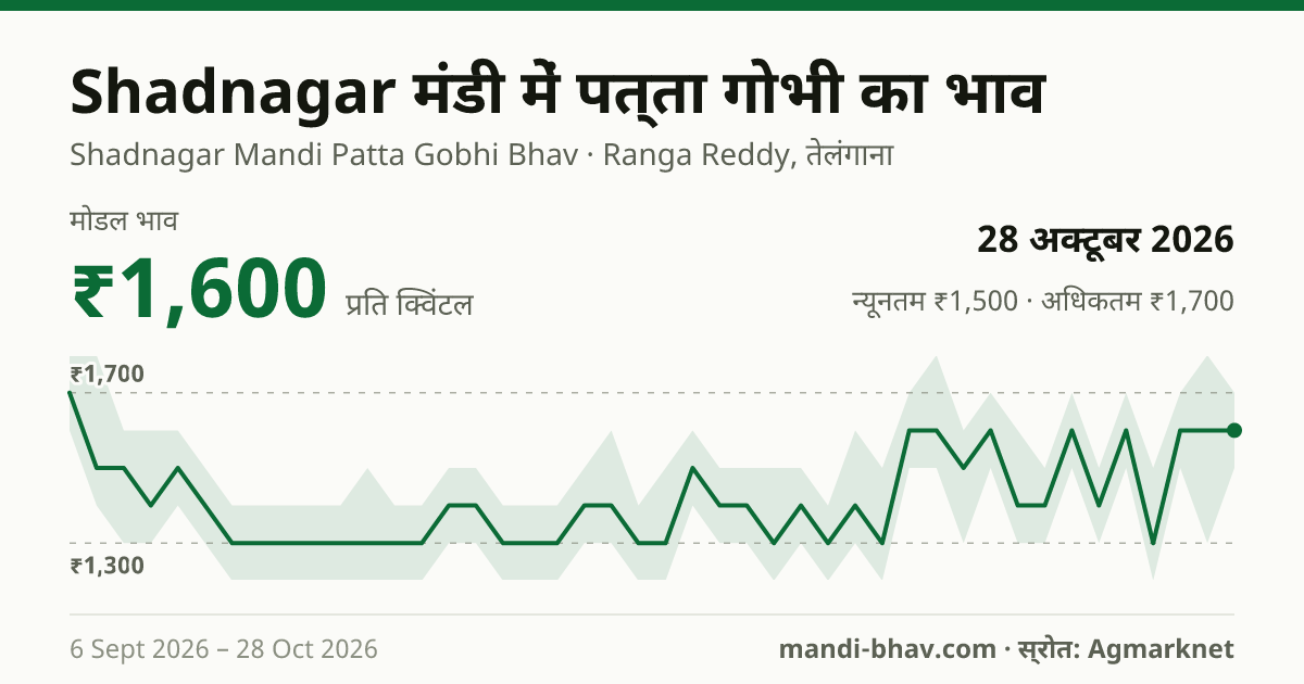 Shadnagar मंडी में पत्ता गोभी का भाव 28 अक्टूबर 2026: मोडल ₹1,600 प्रति क्विंटल, भाव के रुझान का चार्ट