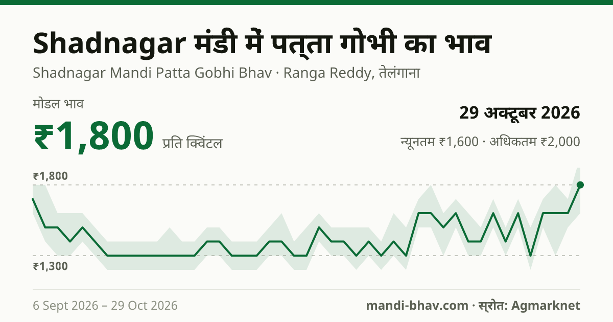 Shadnagar मंडी में पत्ता गोभी का भाव 29 अक्टूबर 2026: मोडल ₹1,800 प्रति क्विंटल, भाव के रुझान का चार्ट