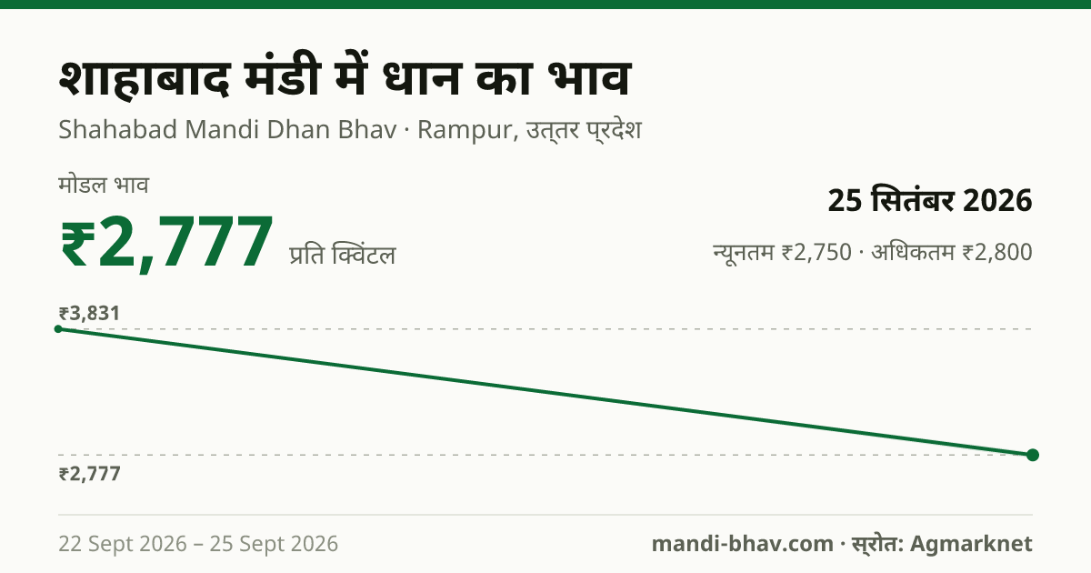 शाहाबाद मंडी में धान का भाव 25 सितंबर 2026: मोडल ₹2,777 प्रति क्विंटल, भाव के रुझान का चार्ट
