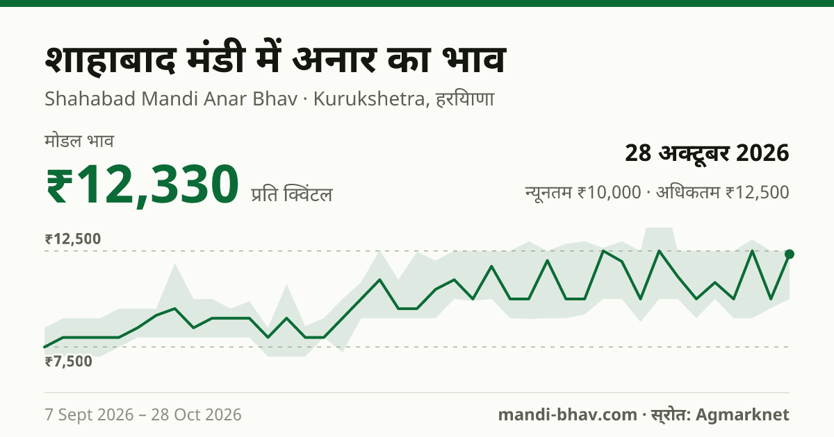 शाहाबाद मंडी में अनार का भाव 28 अक्टूबर 2026: मोडल ₹12,330 प्रति क्विंटल, भाव के रुझान का चार्ट