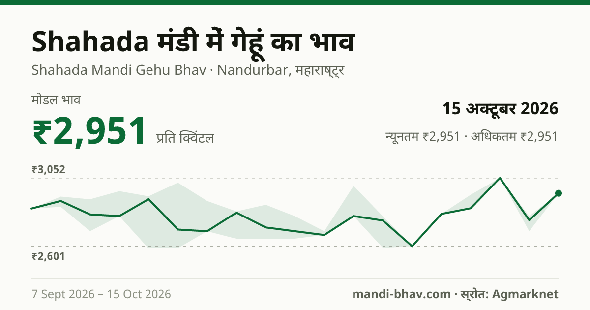 Shahada मंडी में गेहूं का भाव 15 अक्टूबर 2026: मोडल ₹2,951 प्रति क्विंटल, भाव के रुझान का चार्ट