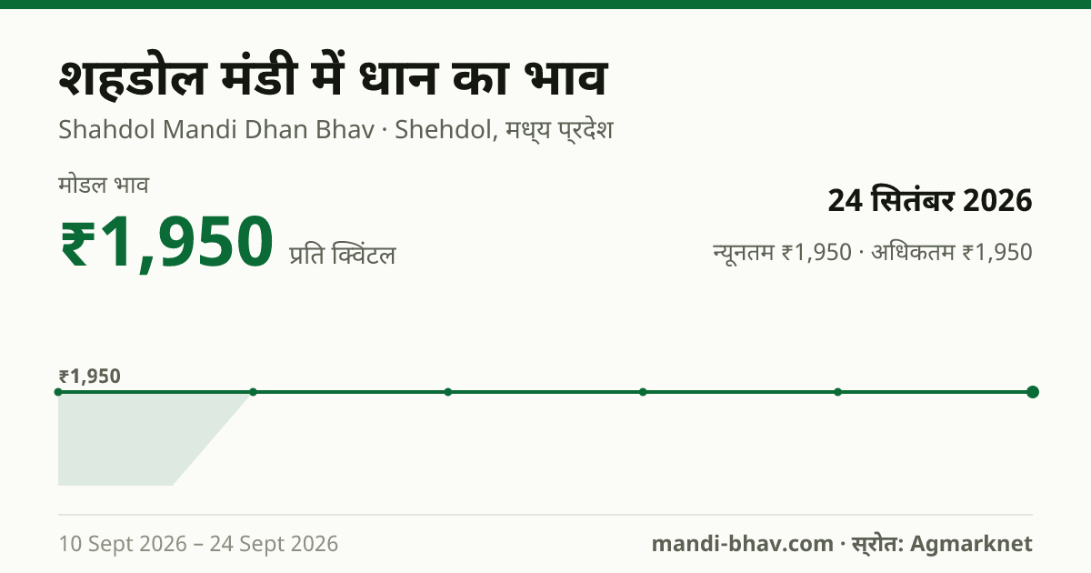 शहडोल मंडी में धान का भाव 24 सितंबर 2026: मोडल ₹1,950 प्रति क्विंटल, भाव के रुझान का चार्ट