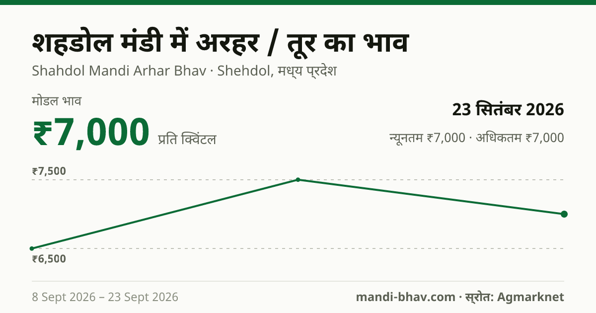 शहडोल मंडी में अरहर / तूर का भाव 23 सितंबर 2026: मोडल ₹7,000 प्रति क्विंटल, भाव के रुझान का चार्ट
