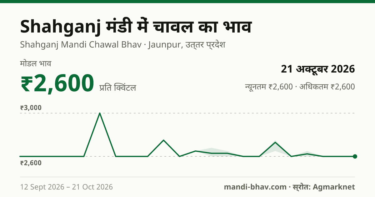 Shahganj मंडी में चावल का भाव 21 अक्टूबर 2026: मोडल ₹2,600 प्रति क्विंटल, भाव के रुझान का चार्ट
