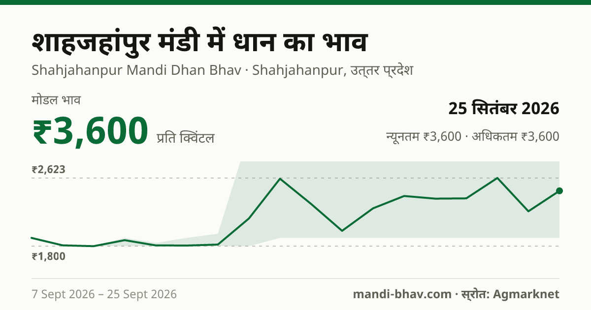 शाहजहांपुर मंडी में धान का भाव 25 सितंबर 2026: मोडल ₹3,600 प्रति क्विंटल, भाव के रुझान का चार्ट