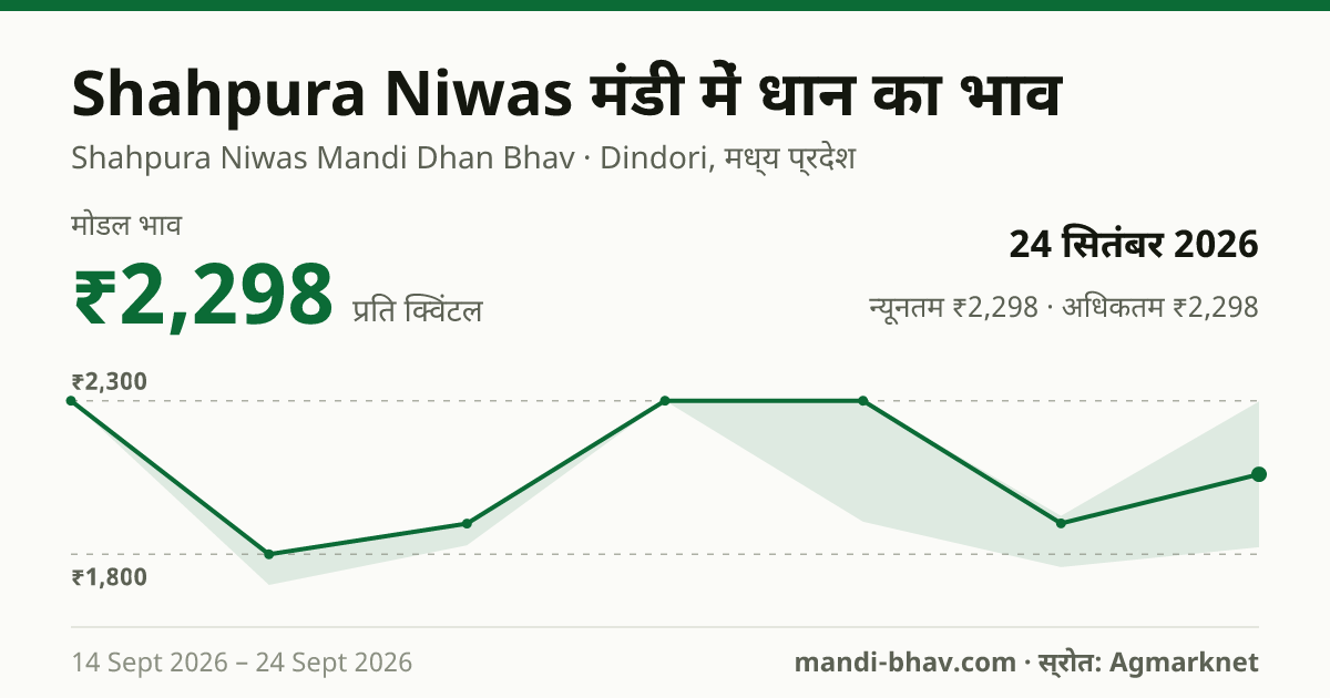Shahpura Niwas मंडी में धान का भाव 24 सितंबर 2026: मोडल ₹2,298 प्रति क्विंटल, भाव के रुझान का चार्ट