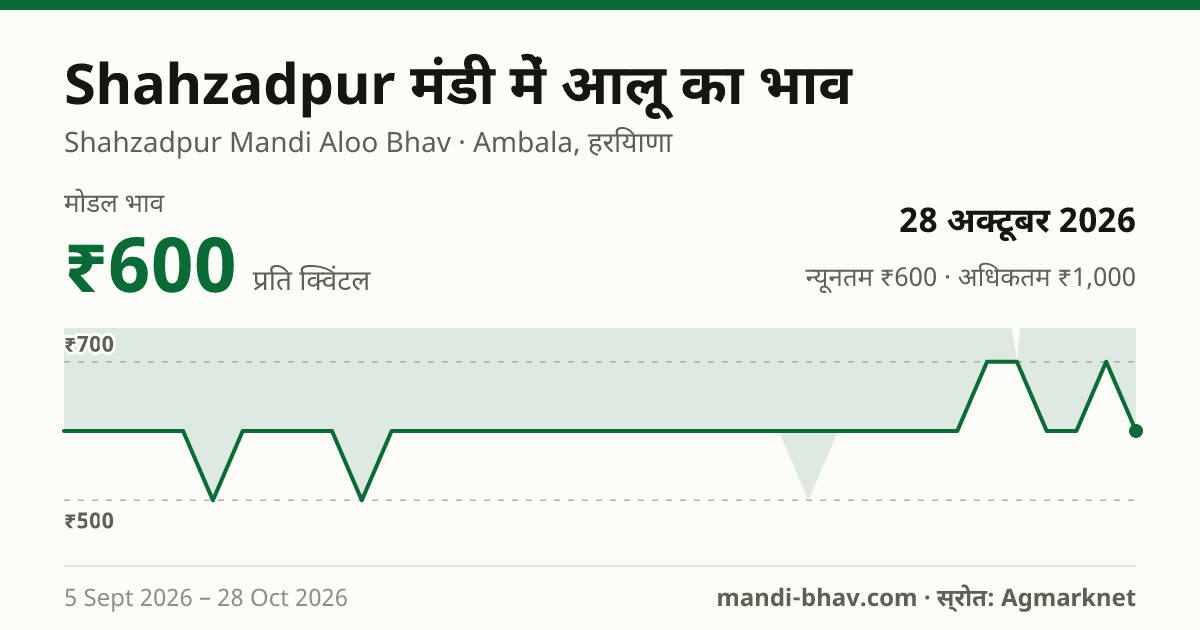 Shahzadpur मंडी में आलू का भाव 28 अक्टूबर 2026: मोडल ₹600 प्रति क्विंटल, भाव के रुझान का चार्ट