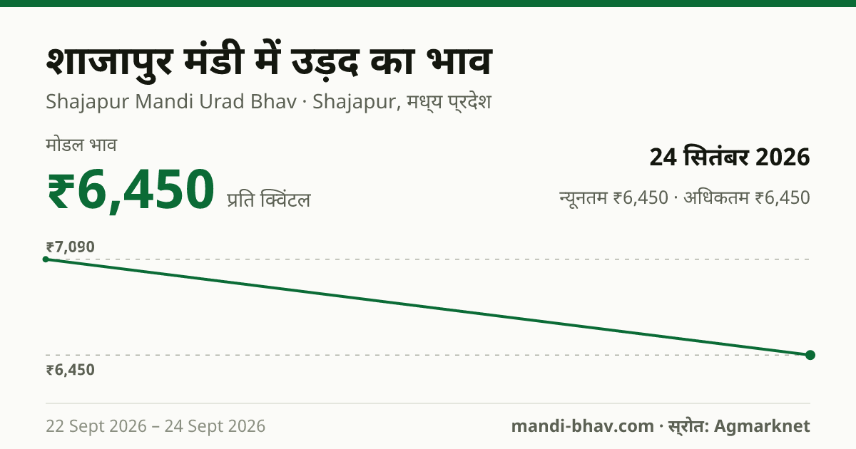 शाजापुर मंडी में उड़द का भाव 24 सितंबर 2026: मोडल ₹6,450 प्रति क्विंटल, भाव के रुझान का चार्ट