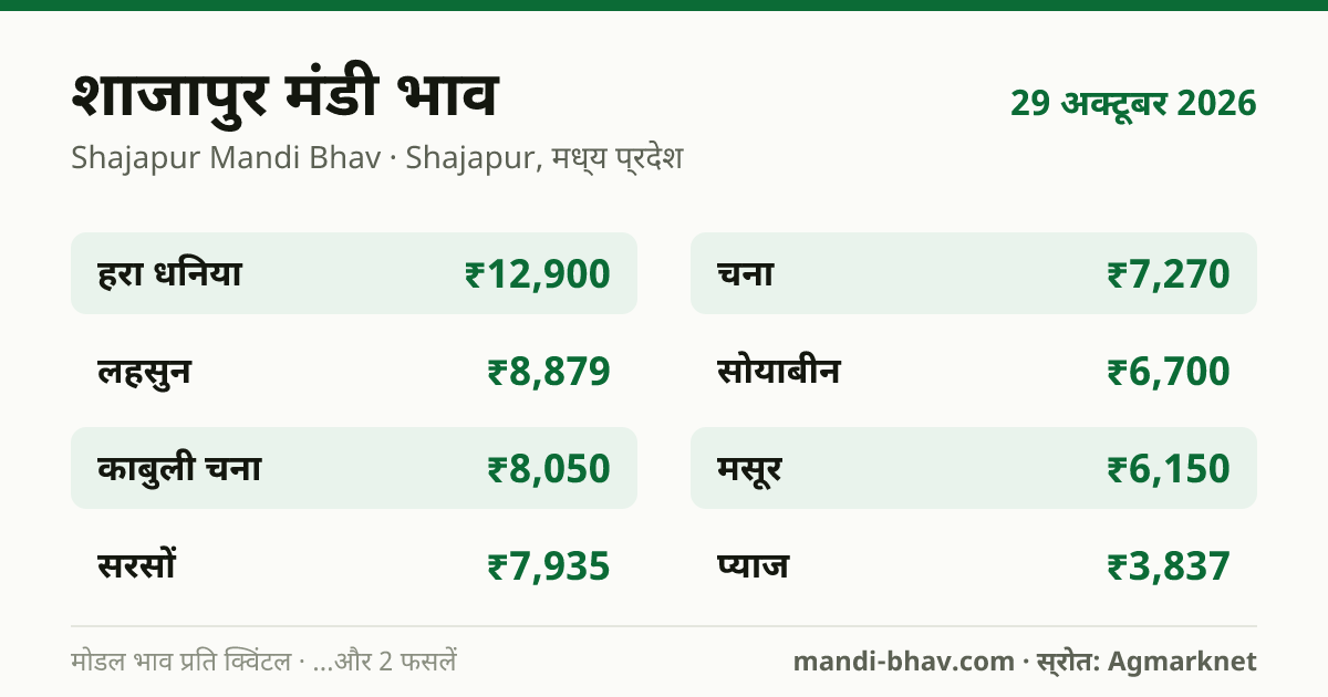 शाजापुर मंडी भाव 29 अक्टूबर 2026: फसलवार मोडल रेट प्रति क्विंटल