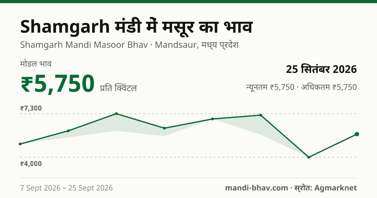 Shamgarh मंडी में मसूर का भाव 25 सितंबर 2026: मोडल ₹5,750 प्रति क्विंटल, भाव के रुझान का चार्ट