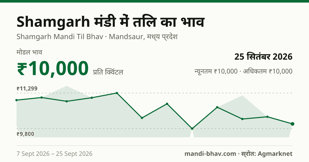 Shamgarh मंडी में तिल का भाव 25 सितंबर 2026: मोडल ₹10,000 प्रति क्विंटल, भाव के रुझान का चार्ट