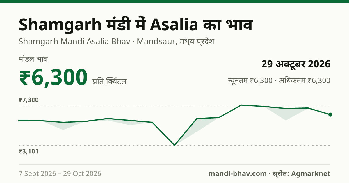 Shamgarh मंडी में Asalia का भाव 29 अक्टूबर 2026: मोडल ₹6,300 प्रति क्विंटल, भाव के रुझान का चार्ट