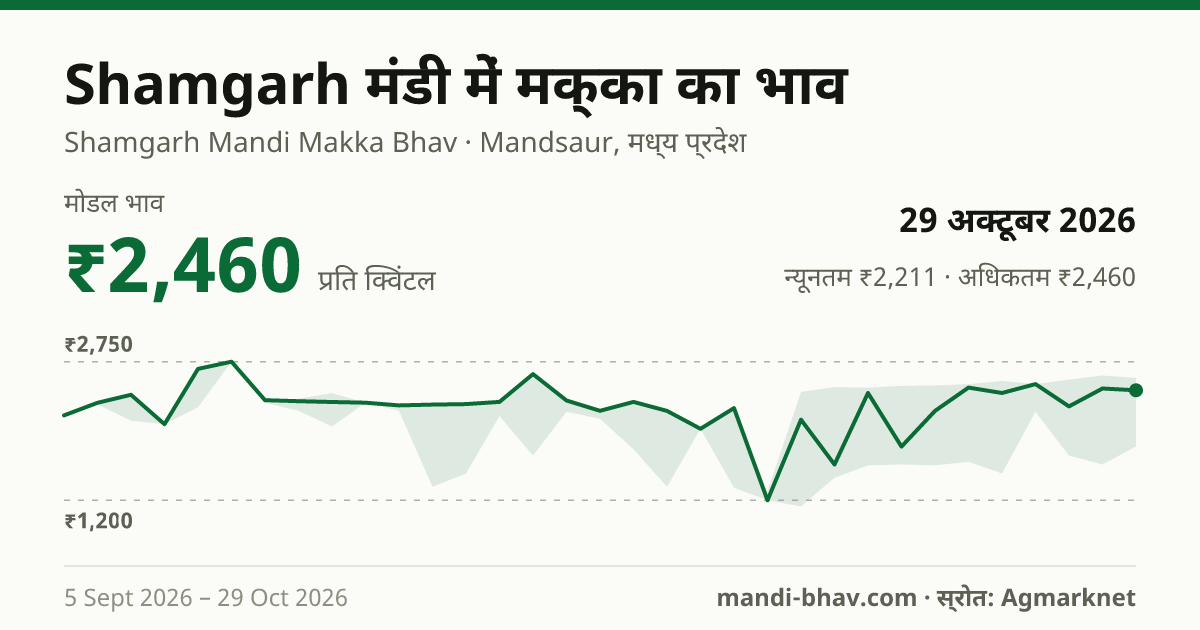 Shamgarh मंडी में मक्का का भाव 29 अक्टूबर 2026: मोडल ₹2,256 प्रति क्विंटल, भाव के रुझान का चार्ट