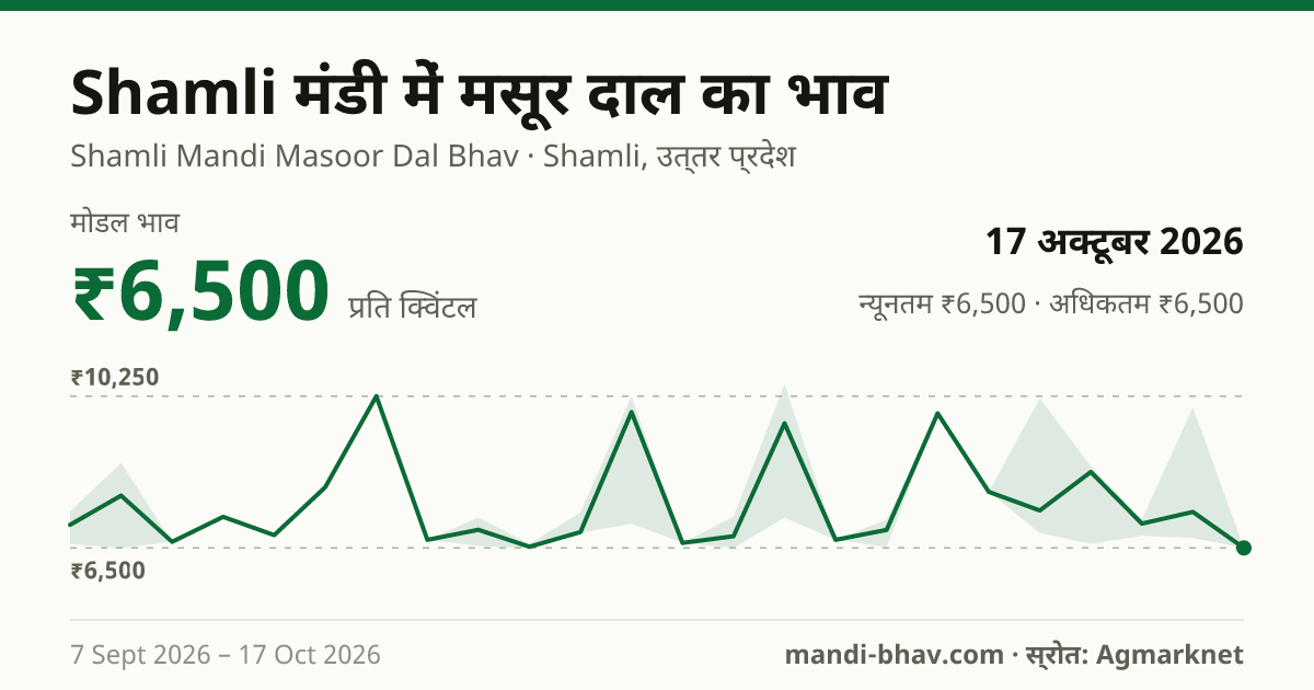 Shamli मंडी में Masur Dal का भाव 17 अक्टूबर 2026: मोडल ₹6,500 प्रति क्विंटल, भाव के रुझान का चार्ट