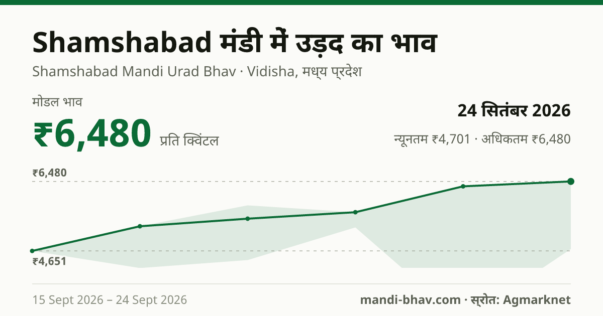 Shamshabad मंडी में उड़द का भाव 24 सितंबर 2026: मोडल ₹6,480 प्रति क्विंटल, भाव के रुझान का चार्ट