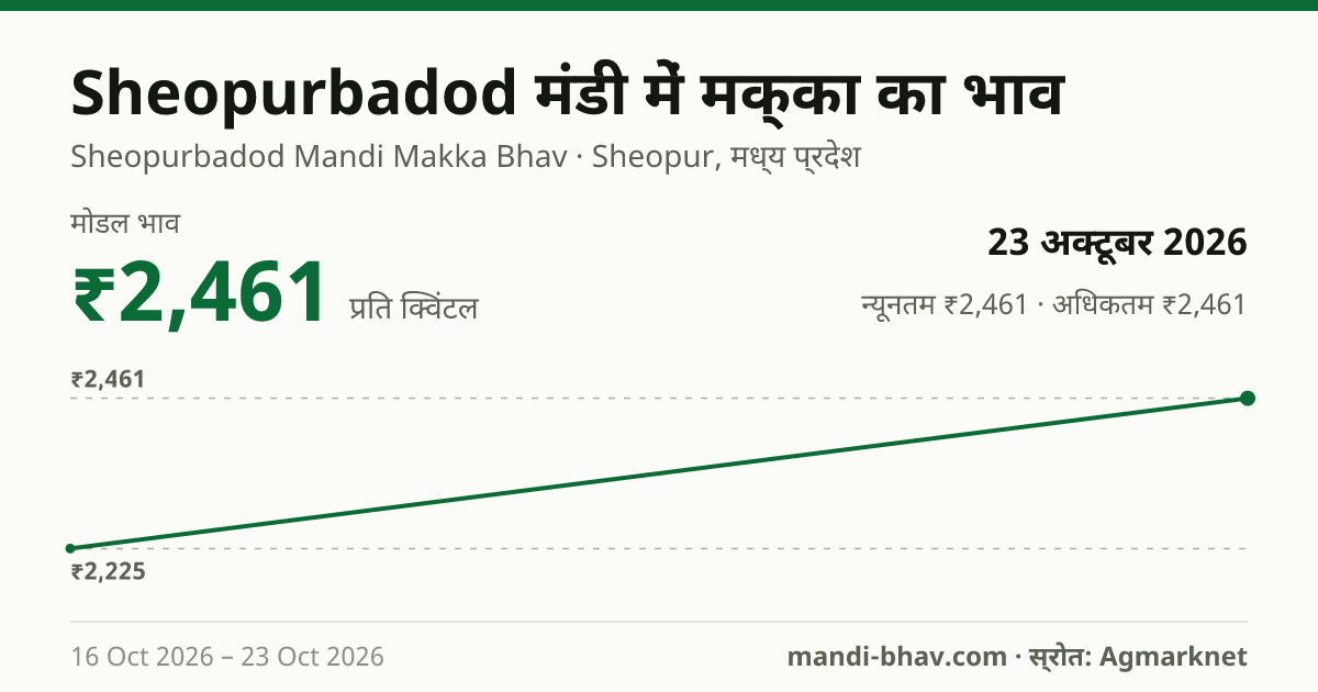 Sheopurbadod मंडी में मक्का का भाव 23 अक्टूबर 2026: मोडल ₹2,461 प्रति क्विंटल, भाव के रुझान का चार्ट