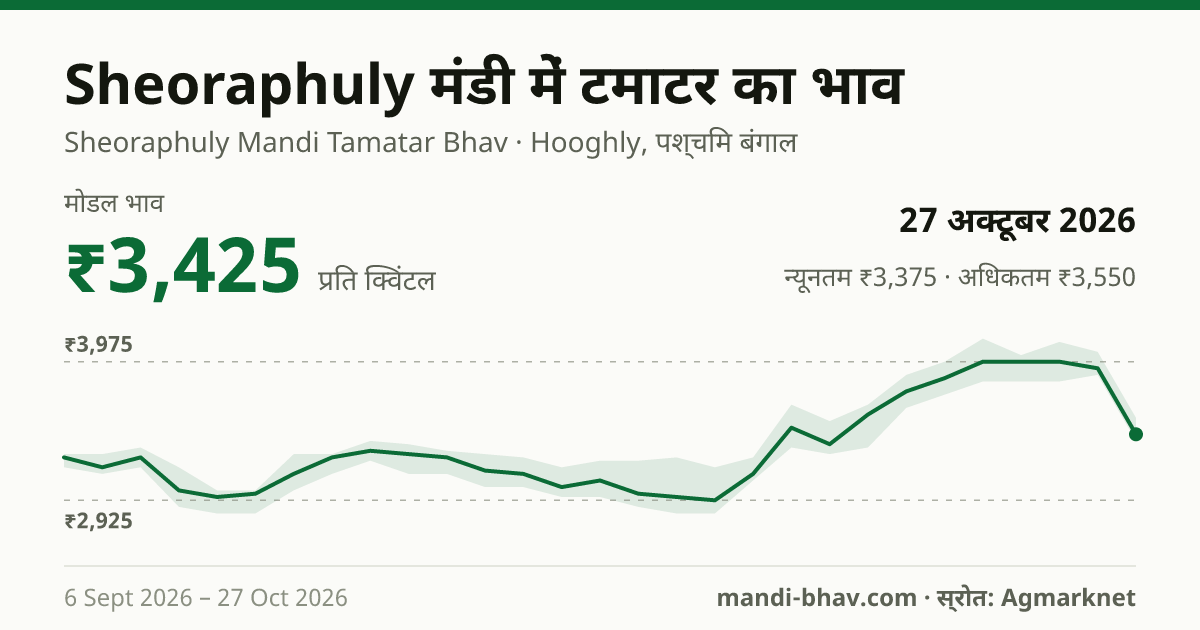 Sheoraphuly मंडी में टमाटर का भाव 27 अक्टूबर 2026: मोडल ₹3,425 प्रति क्विंटल, भाव के रुझान का चार्ट