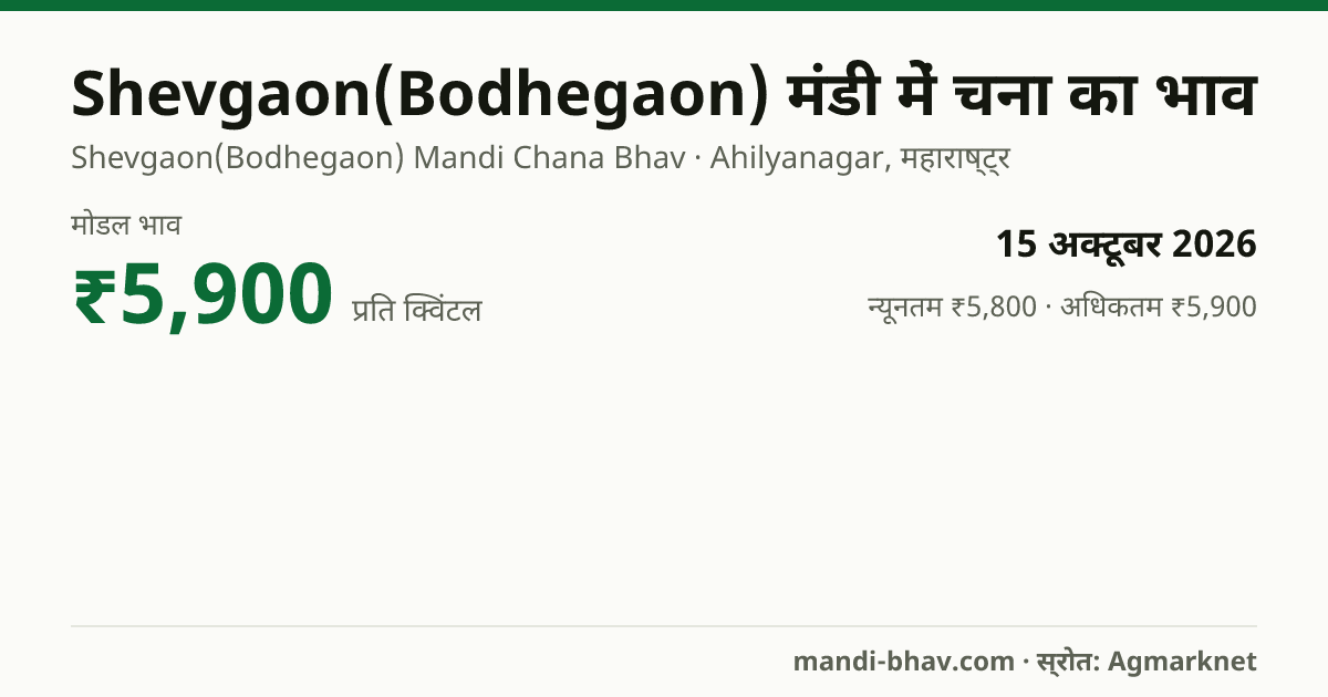Shevgaon(Bodhegaon) मंडी में चना का भाव 15 अक्टूबर 2026: मोडल ₹5,900 प्रति क्विंटल, भाव के रुझान का चार्ट
